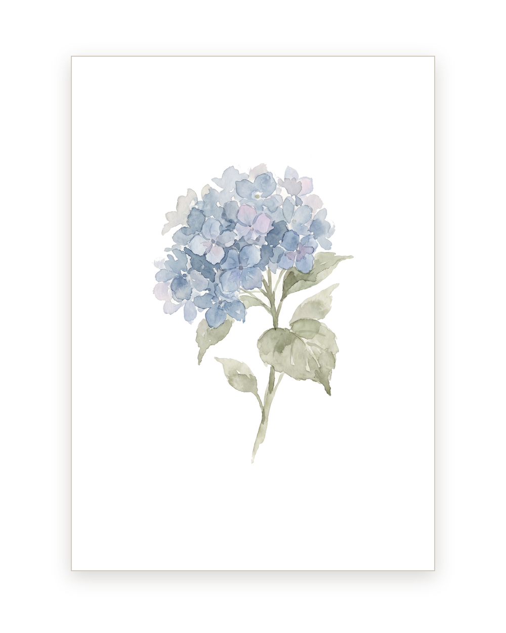 Sympathy card with a watercolor hydrangea