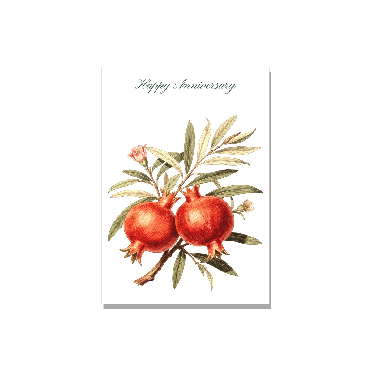 Anniversary greeting card - Pomegranate Branch in Botanical, blank inside