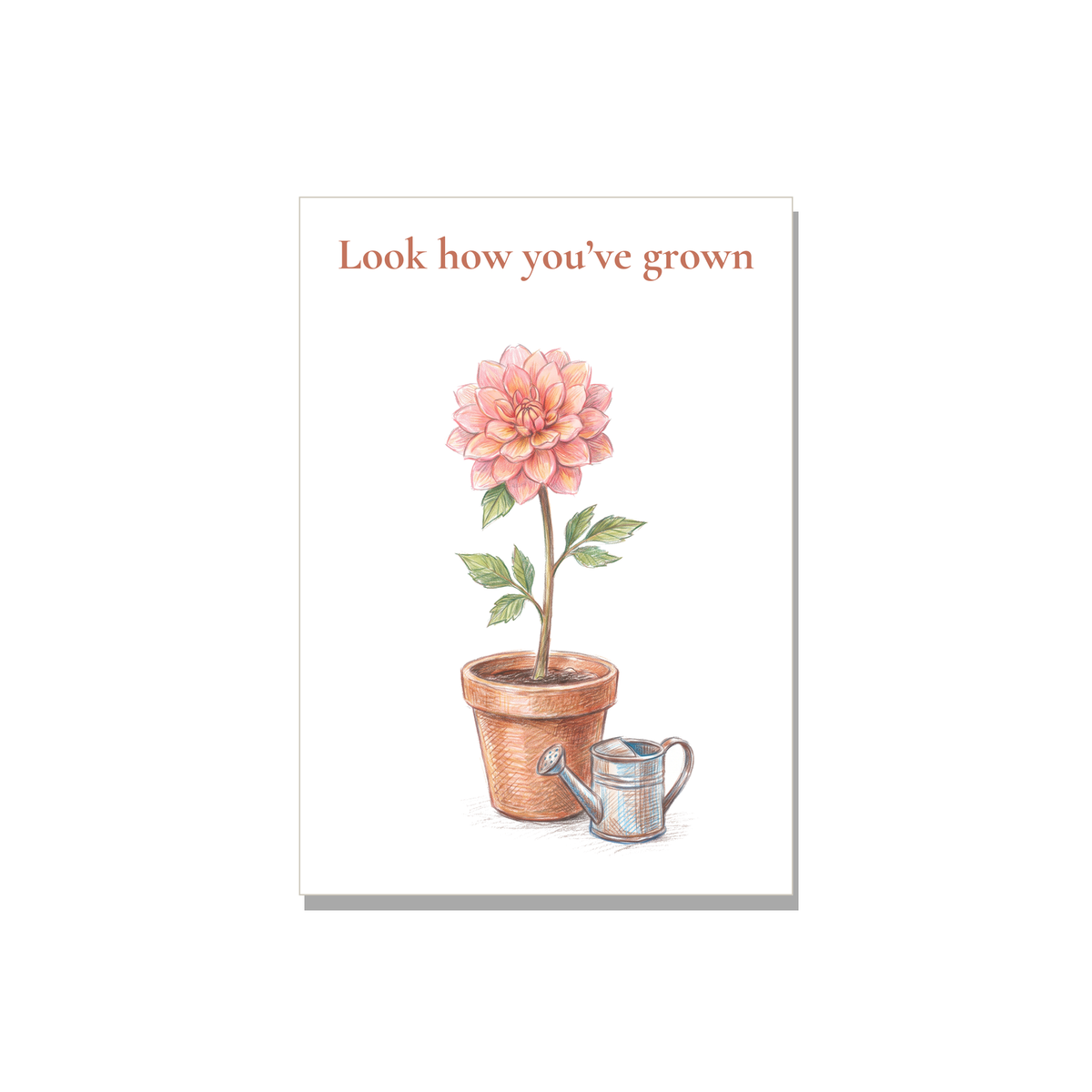 Congratulations greeting card - Potted Dahlia in Colored Pencil, blank inside