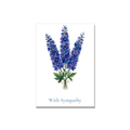 Sympathy greeting card - Delphinium in Watercolor, blank inside