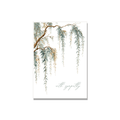 Weeping Willow Sympathy Card in Botanical illustration