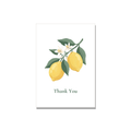 Thank You greeting card - Lemon Branch in Gouache, blank inside