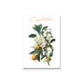 Orange Blossom Wedding Card in Botanical illustration