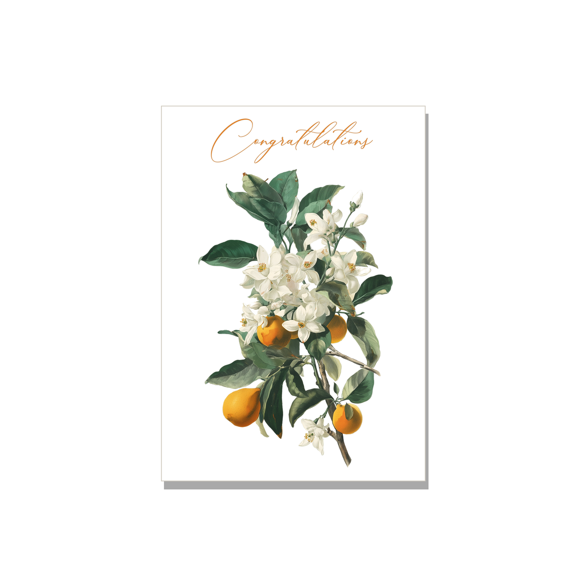Orange Blossom Wedding Card in Botanical illustration