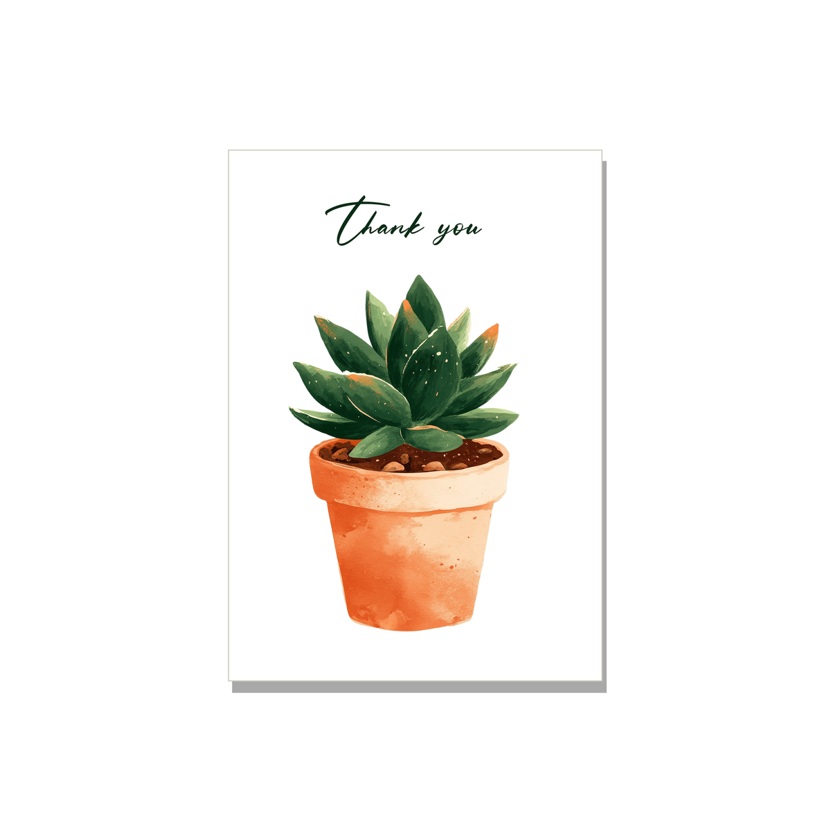 Potted Succulent Thank You Card in Gouache