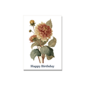 Birthday greeting card - Botanical Dahlia in Botanical, blank inside