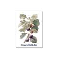 Birthday greeting card - Botanical Fig Branch in Botanical, blank inside