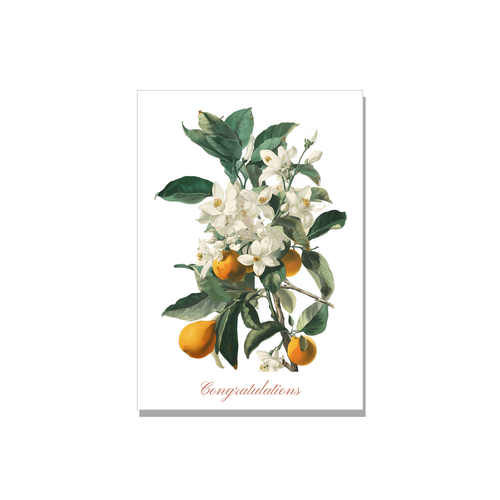 Wedding greeting card - Botanical Orange Blossom in Botanical, blank inside