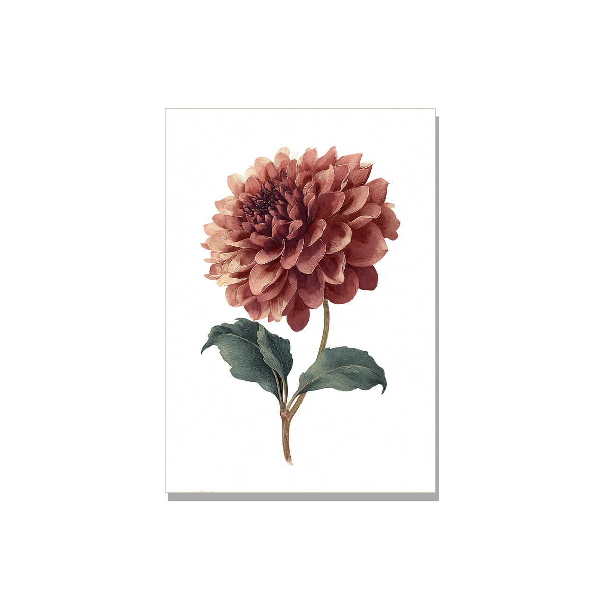 Dahlia Sympathy Card in Watercolor
