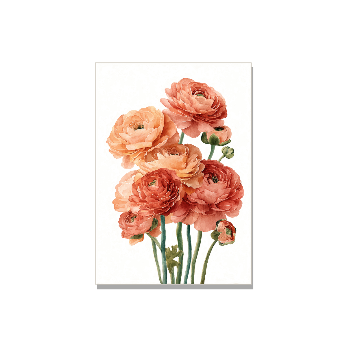 Ranunculus Thank You Card in Watercolor