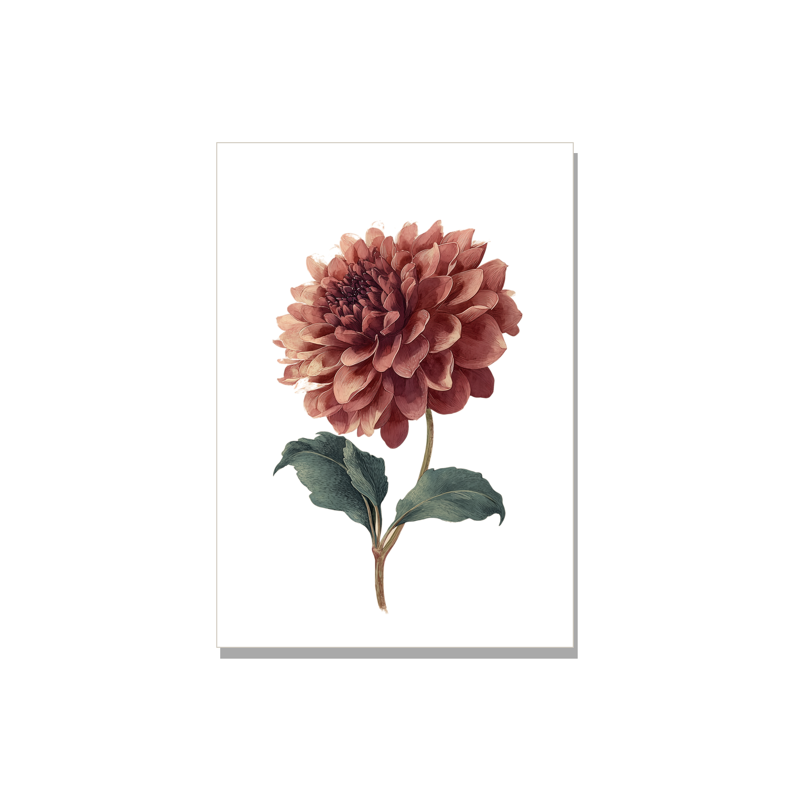Sympathy greeting card - Dahlia in Watercolor, blank inside