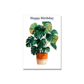 Birthday greeting card - Monstera Plant in Gouache, blank inside