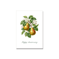 Anniversary greeting card - Pear Branch in Botanical, blank inside