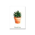 Thank You greeting card - Potted Succulent in Gouache, blank inside