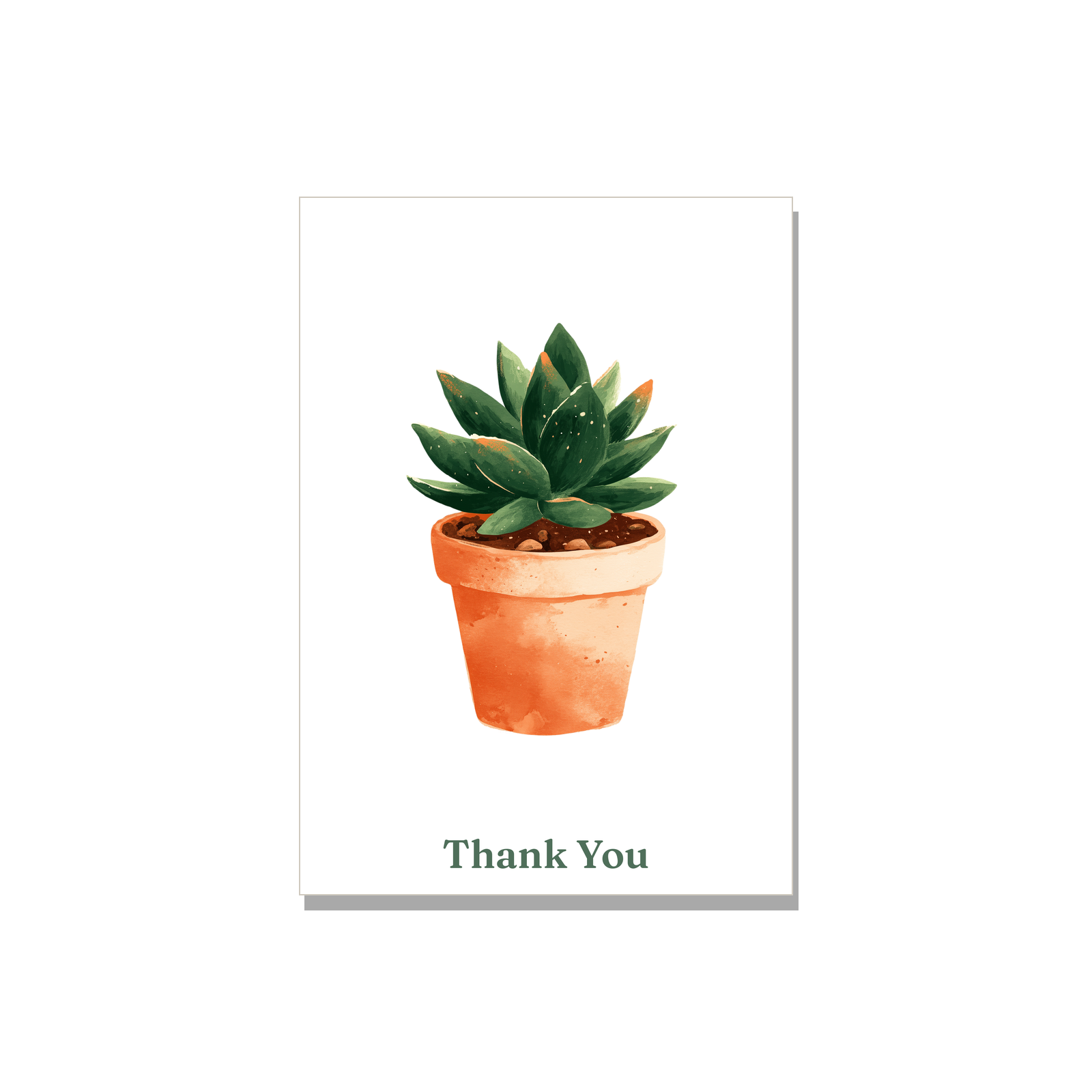 Thank You greeting card - Potted Succulent in Gouache, blank inside