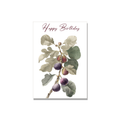 Fig Branch Birthday Card in Botanical illustration
