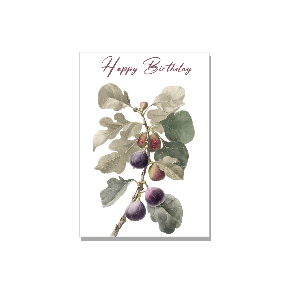 Fig Branch Birthday Card in Botanical illustration