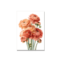 Thank You greeting card - Ranunculus in Watercolor, blank inside