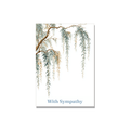 Sympathy greeting card - Weeping Willow in Botanical, blank inside